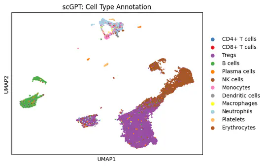 Immune Cell Type Annotation with scGPT